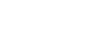 The TV Foundation logo